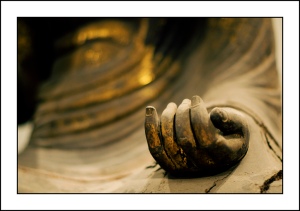 the_hand_of_buddha